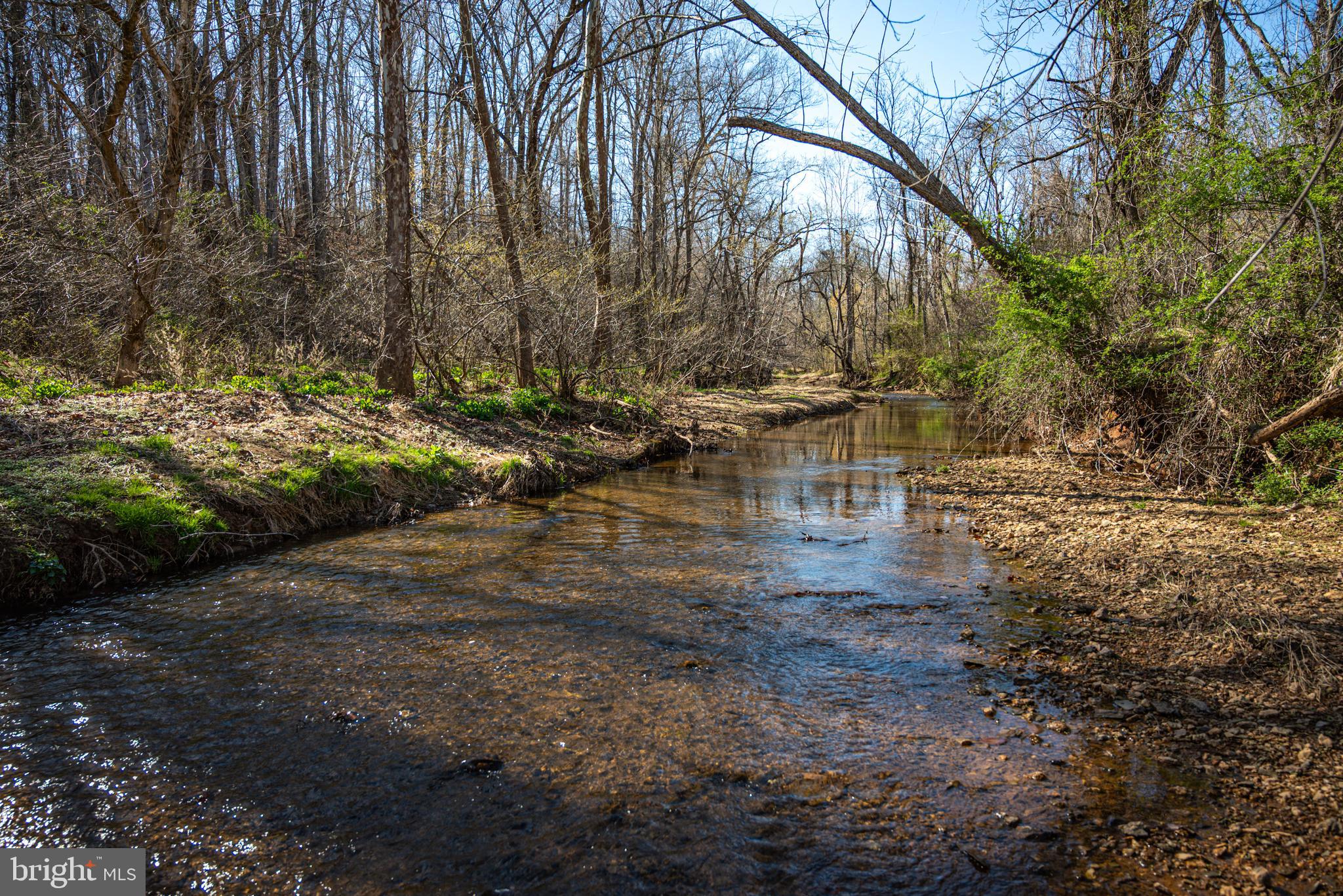 0 Cox Mill Road Gordonsville, VA 22942 - Photo 15 of 43 a view of swimming pool with a yard