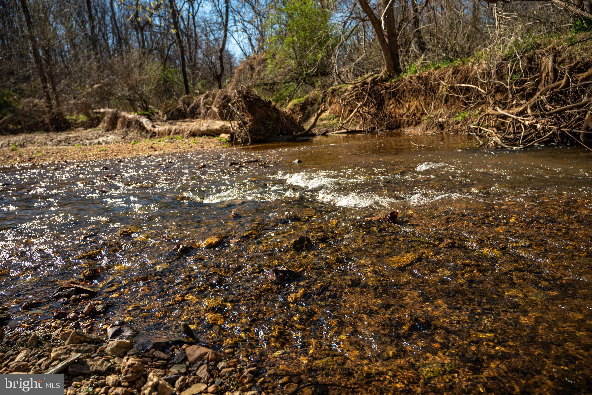 0 Cox Mill Road Gordonsville, VA 22942 - Photo 16 of 43 a view of a yard with a tree