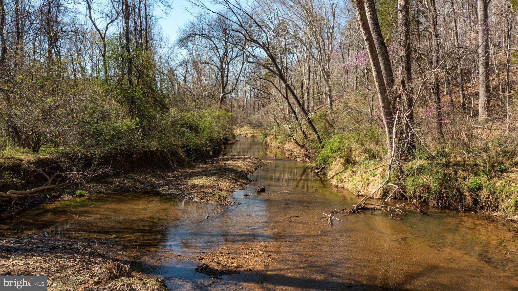 0 Cox Mill Road Gordonsville, VA 22942 - Photo 17 of 43 a view of water with large trees
