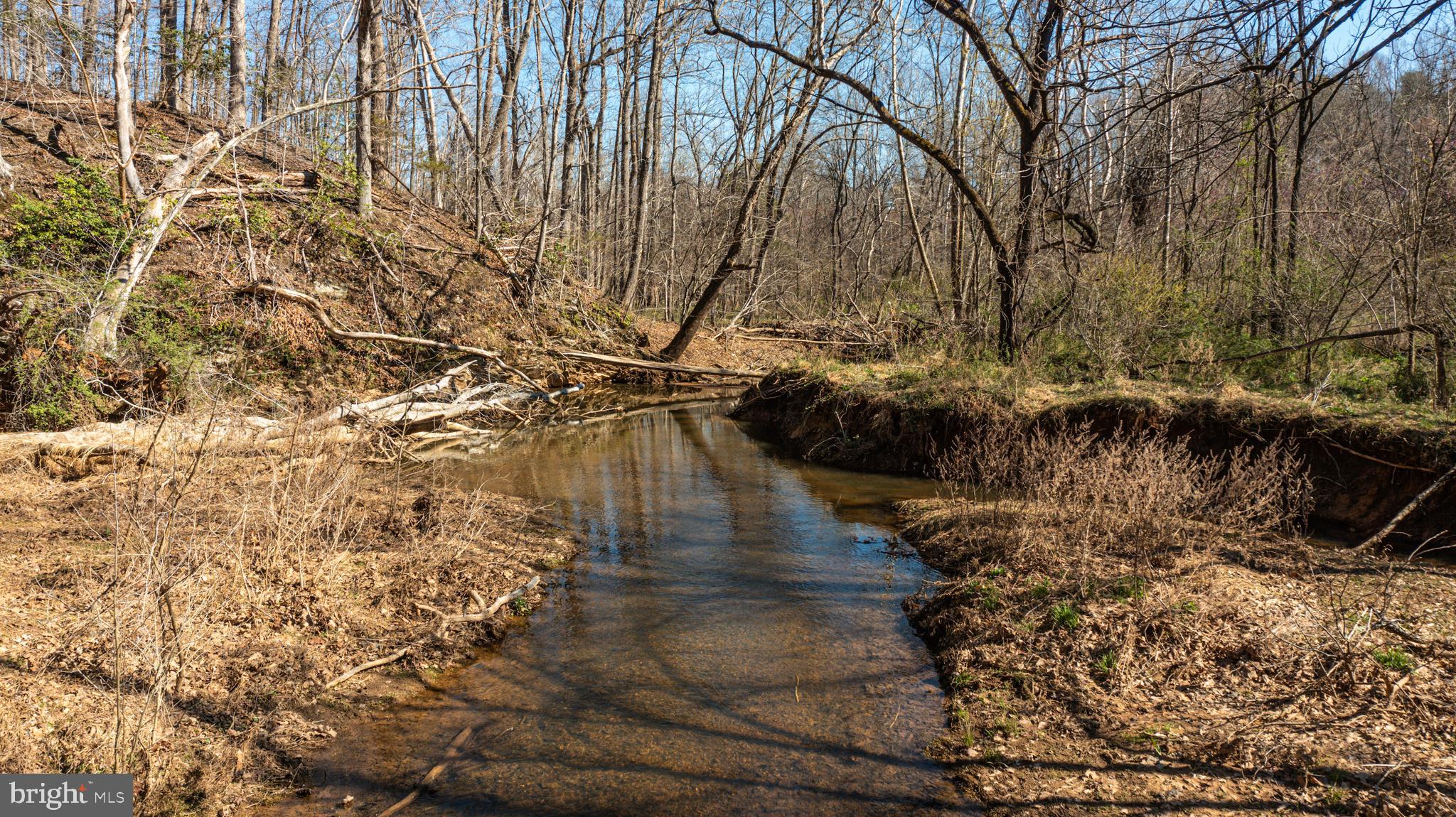 0 Cox Mill Road Gordonsville, VA 22942 - Photo 18 of 43 a view of yard with wooden stairs