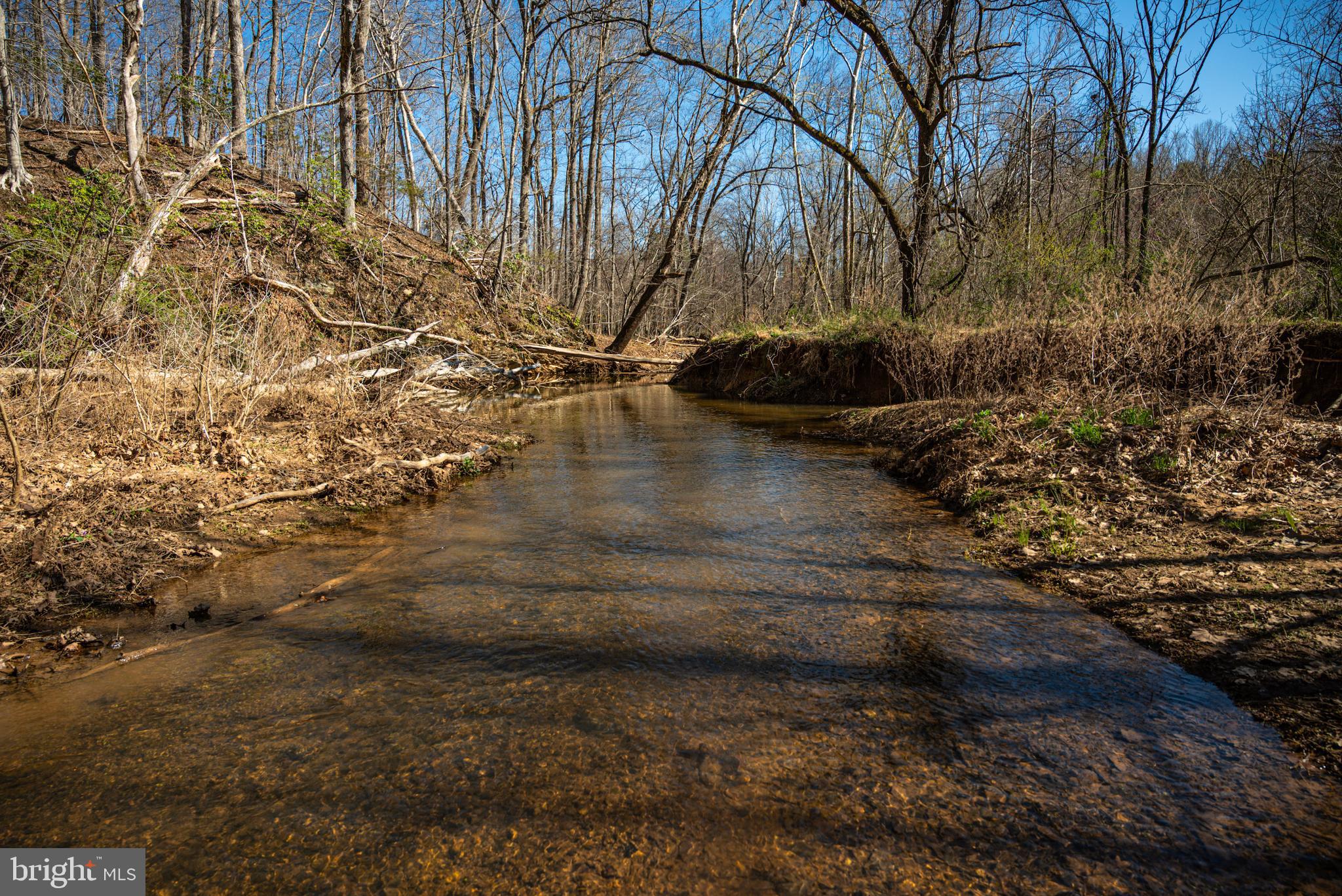 0 Cox Mill Road Gordonsville, VA 22942 - Photo 19 of 43 a view of a yard