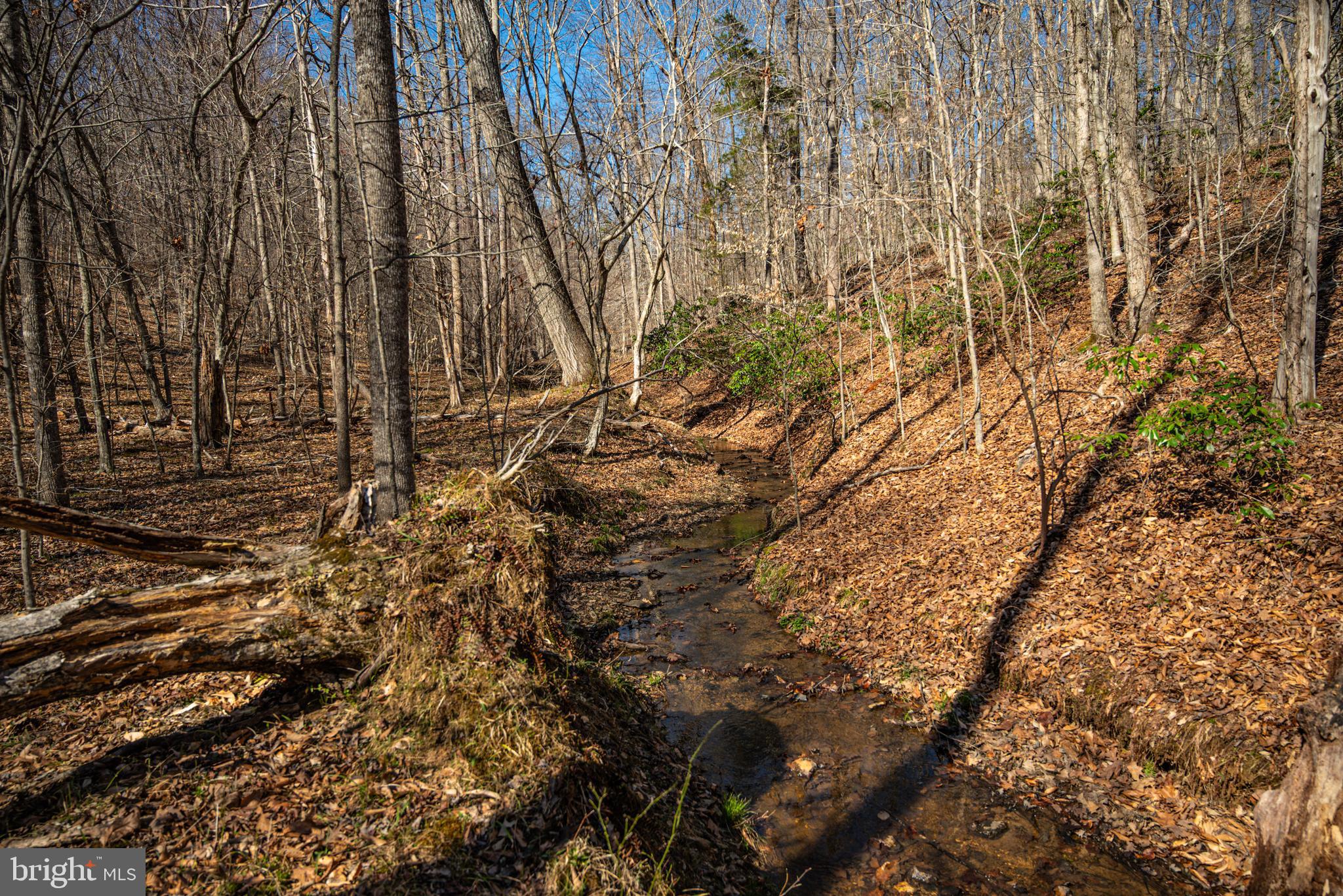 0 Cox Mill Road Gordonsville, VA 22942 - Photo 20 of 43 a view of a yard