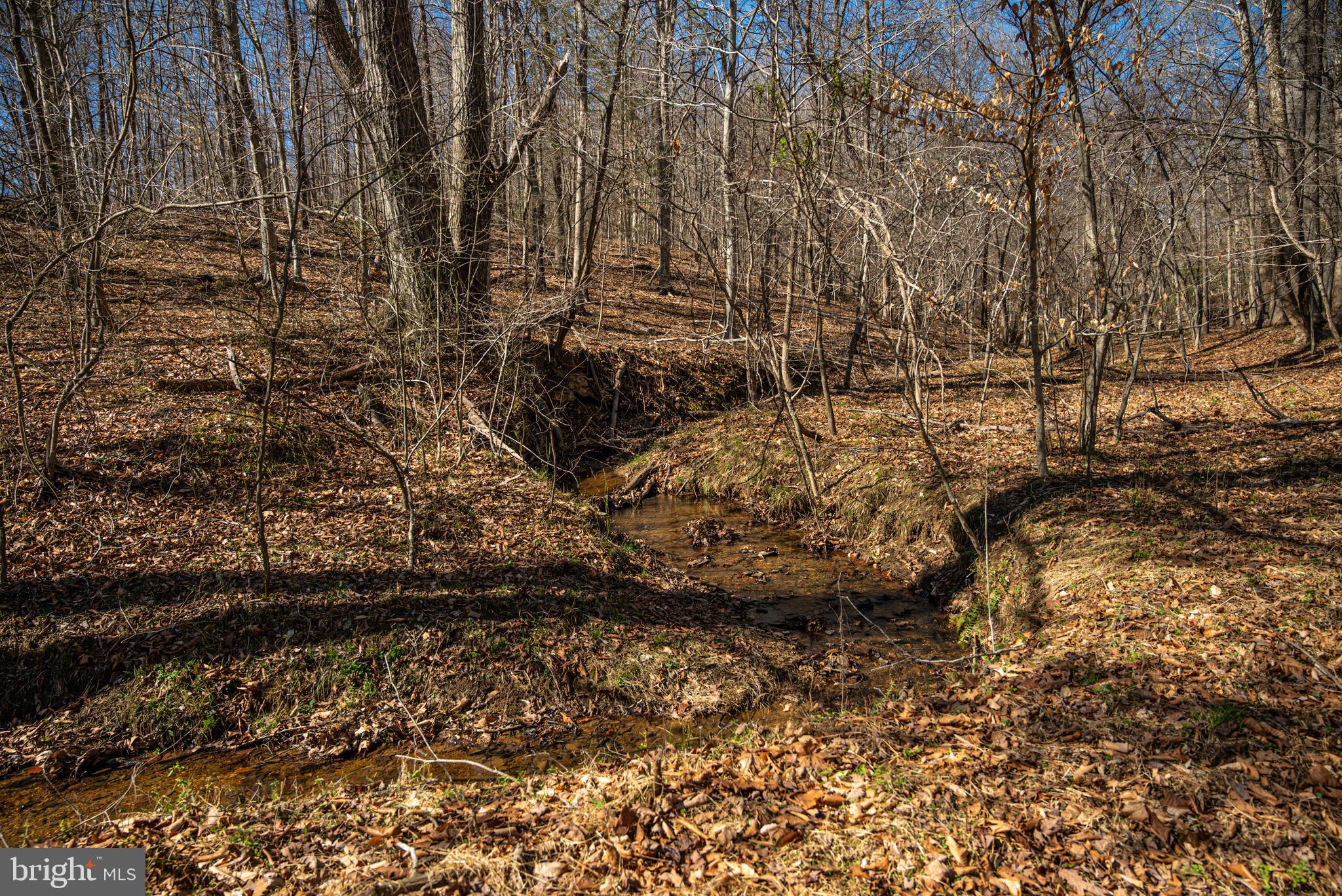 0 Cox Mill Road Gordonsville, VA 22942 - Photo 21 of 43 a view of outdoor space and yard