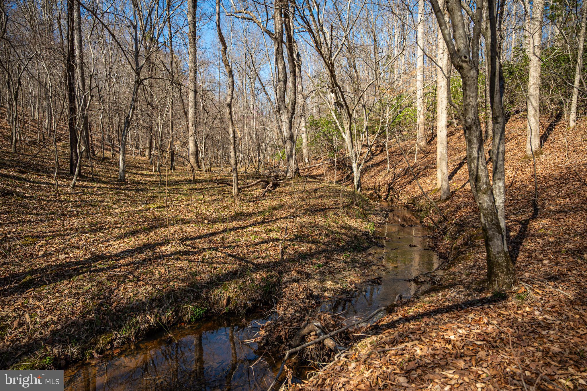0 Cox Mill Road Gordonsville, VA 22942 - Photo 22 of 43