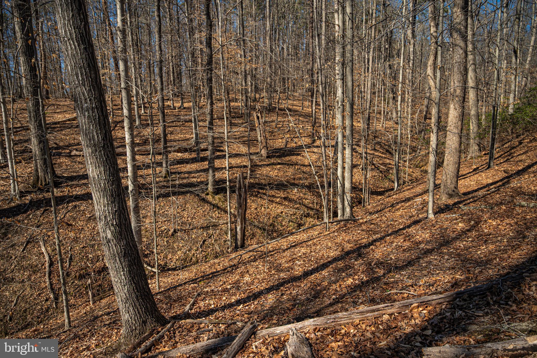 0 Cox Mill Road Gordonsville, VA 22942 - Photo 23 of 43