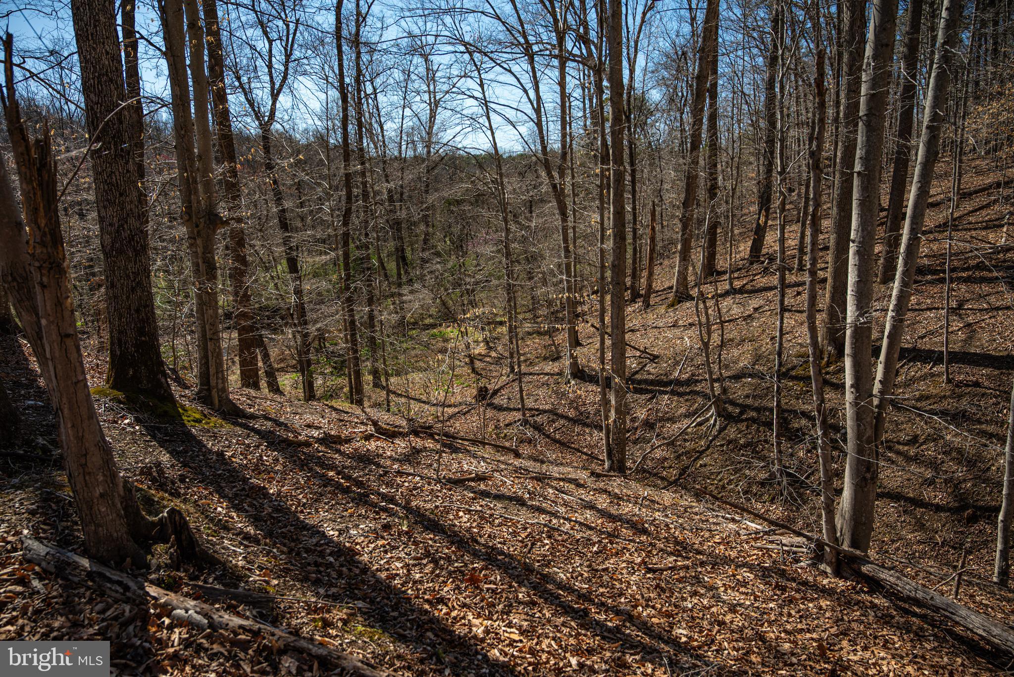 0 Cox Mill Road Gordonsville, VA 22942 - Photo 24 of 43 a view of a yard