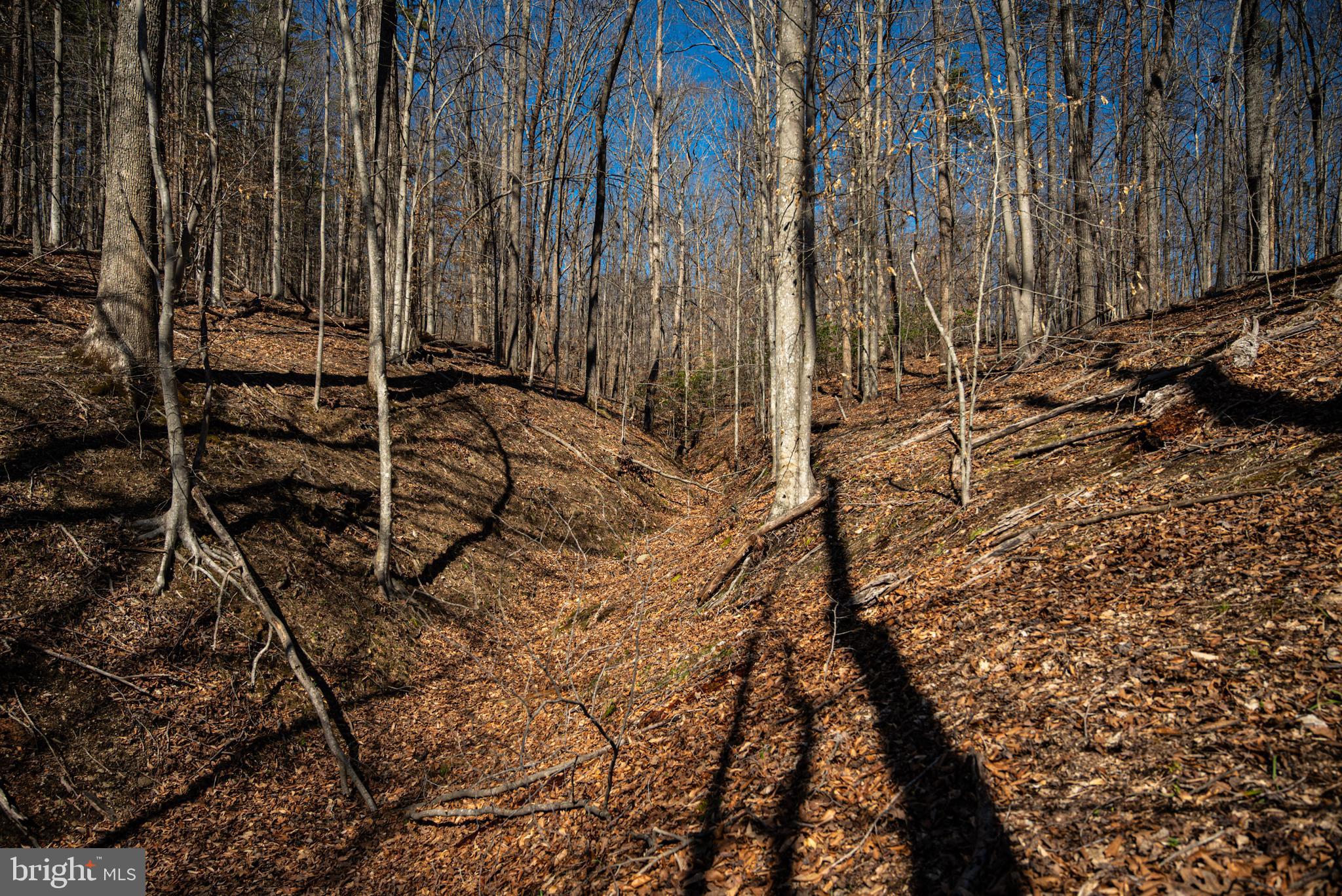 0 Cox Mill Road Gordonsville, VA 22942 - Photo 25 of 43 a view of wooden fence