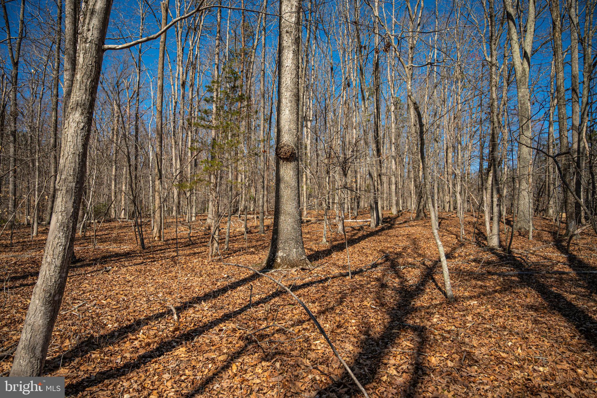 0 Cox Mill Road Gordonsville, VA 22942 - Photo 30 of 43 a view of a backyard with wooden fence