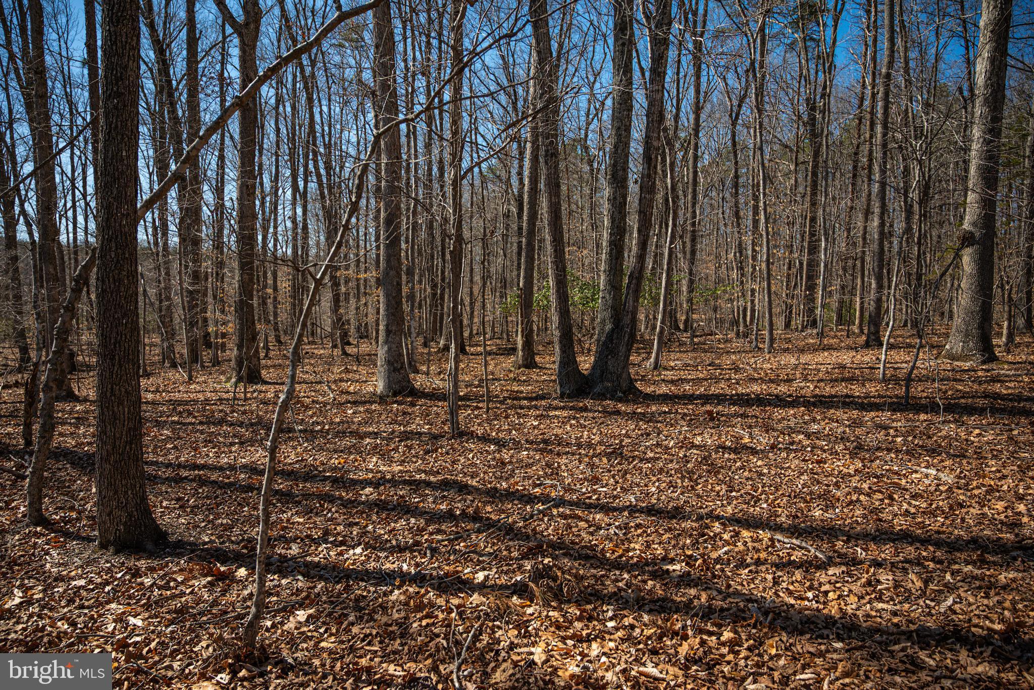 0 Cox Mill Road Gordonsville, VA 22942 - Photo 31 of 43 a view of outdoor space with wooden fence