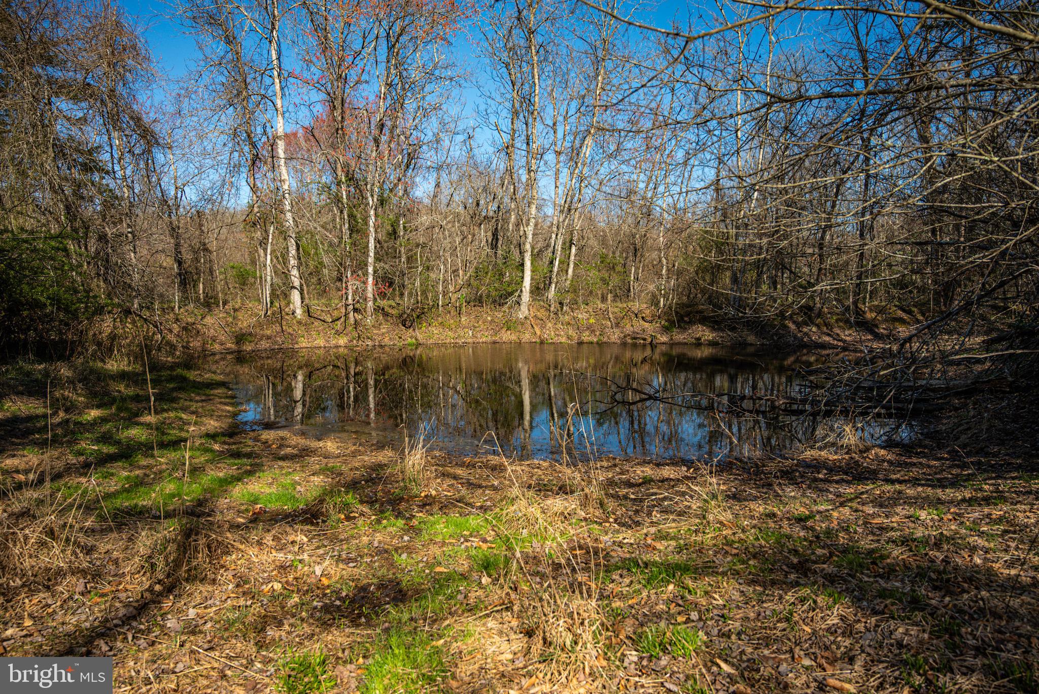 0 Cox Mill Road Gordonsville, VA 22942 - Photo 32 of 43 a view of house with a yard