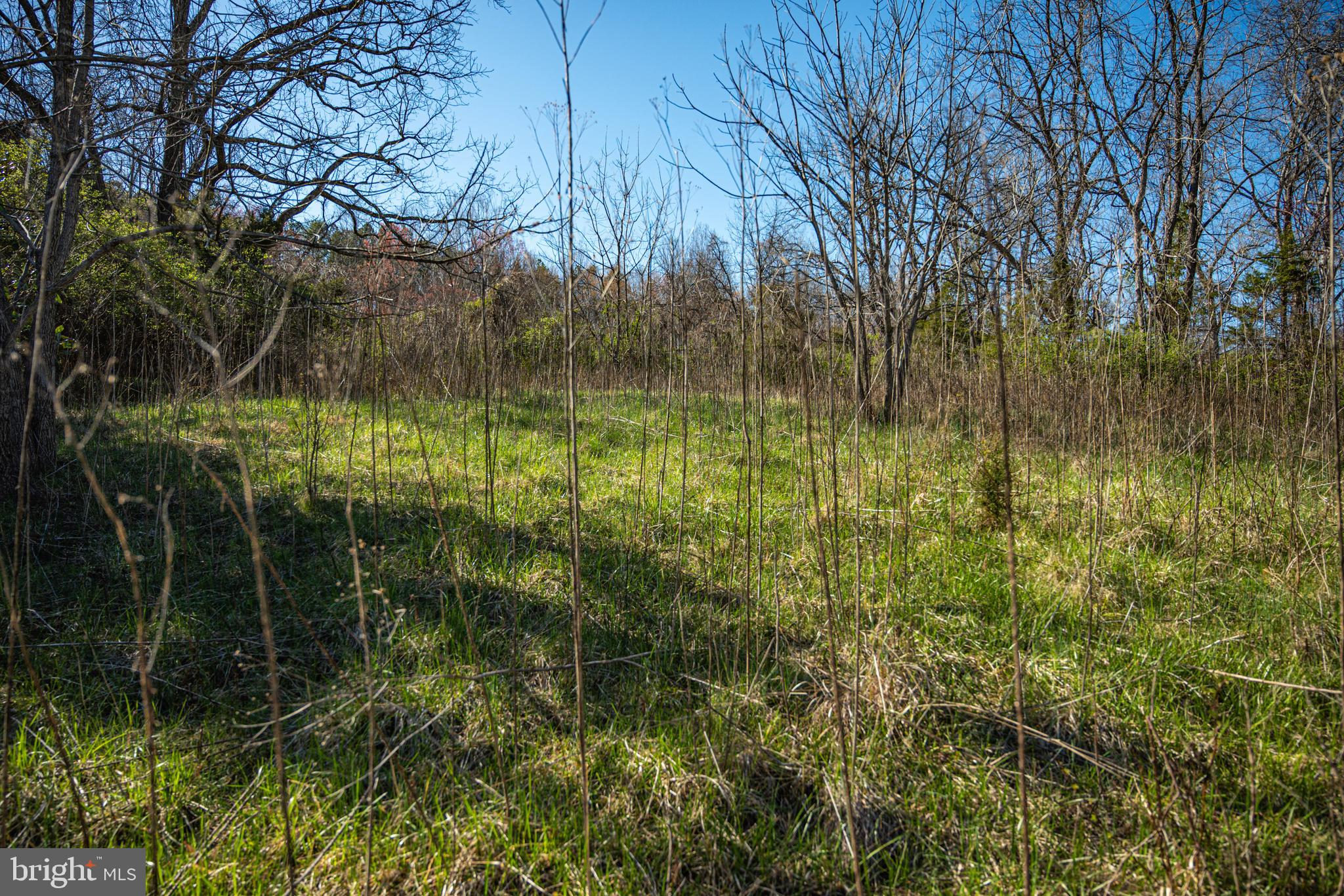 0 Cox Mill Road Gordonsville, VA 22942 - Photo 33 of 43