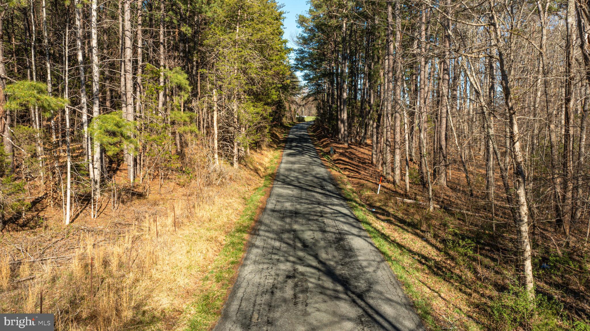 0 Cox Mill Road Gordonsville, VA 22942 - Photo 34 of 43