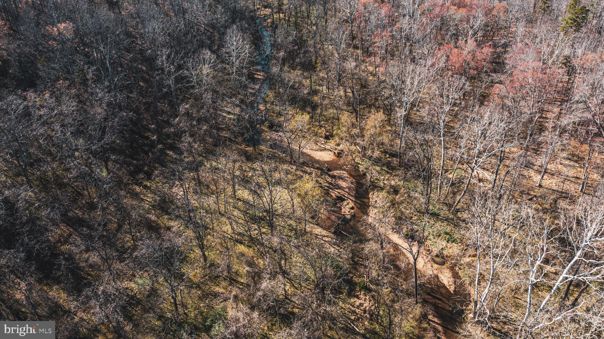 0 Cox Mill Road Gordonsville, VA 22942 - Photo 36 of 43 a view of a tree