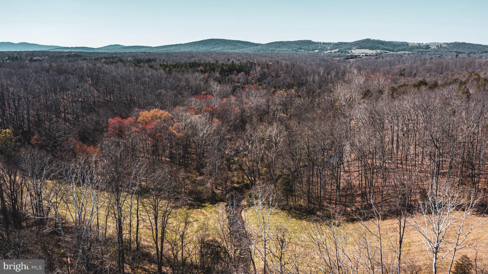 0 Cox Mill Road Gordonsville, VA 22942 - Photo 4 of 43 a view of mountain with trees in background