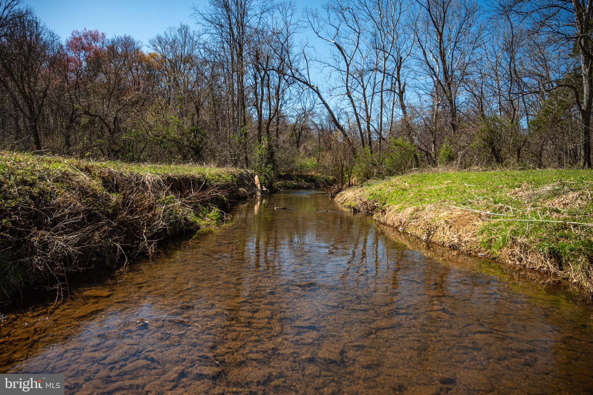 0 Cox Mill Road Gordonsville, VA 22942 - Photo 7 of 43 a view of a lake with a yard
