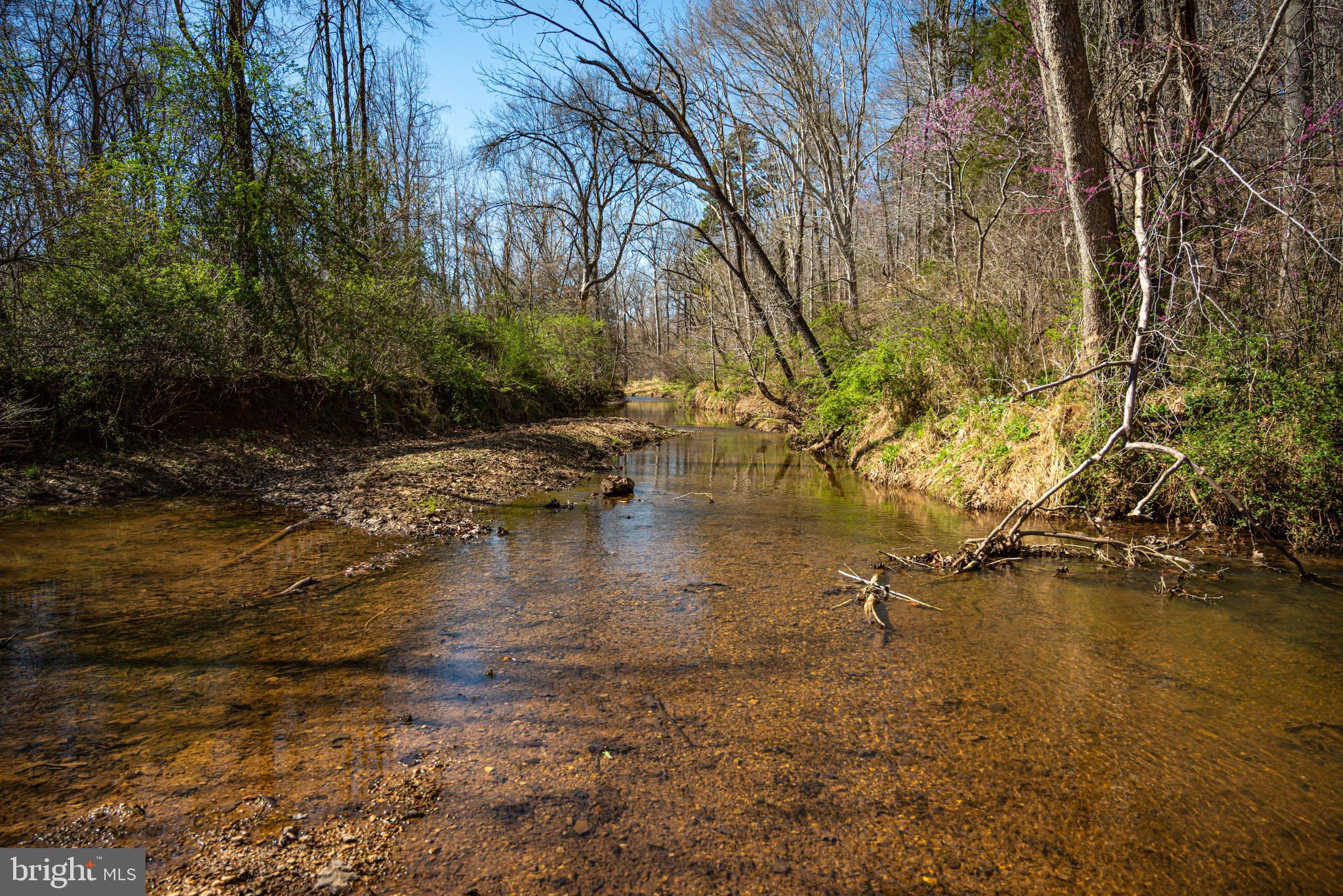 0 Cox Mill Road Gordonsville, VA 22942 - Photo 8 of 43 a view of water with a large tree