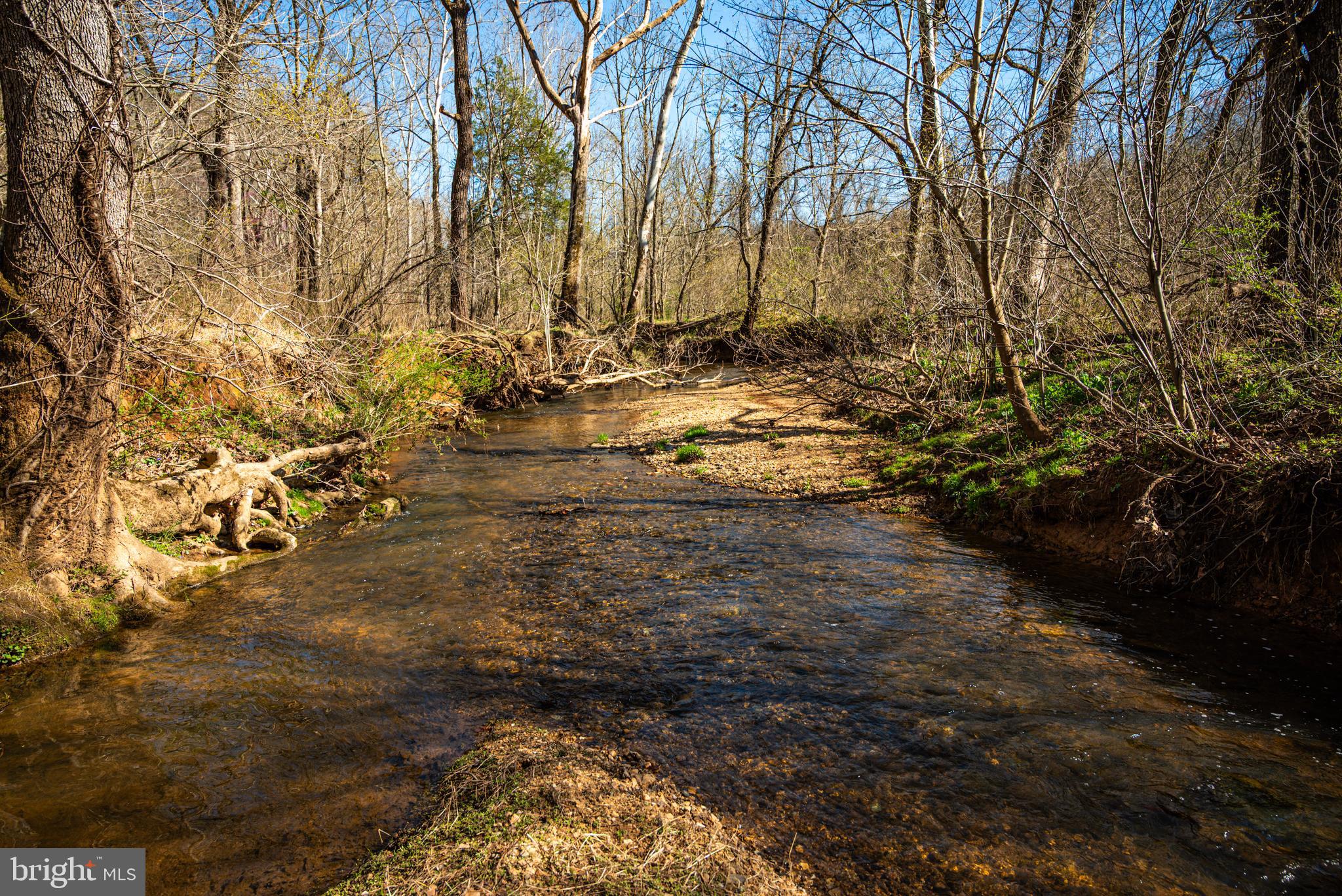 0 Cox Mill Road Gordonsville, VA 22942 - Photo 9 of 43 a view of yard covered with snow