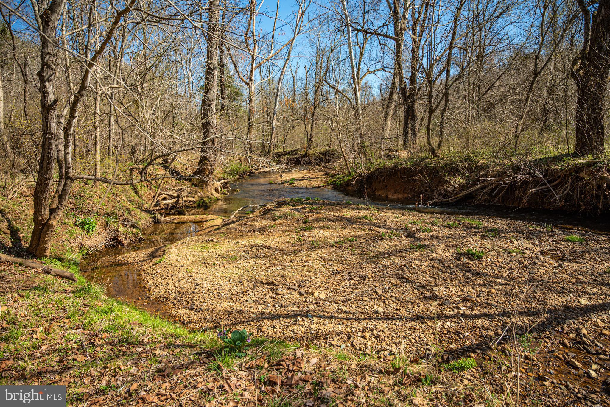 0 Cox Mill Road Gordonsville, VA 22942 - Photo 10 of 43 a view of a yard with trees