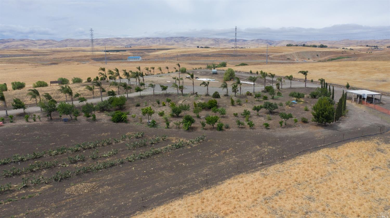 20124-11.3 Ac West Grantline Road Tracy, CA 95391 - Photo 1 of 1 Gallery Image 1