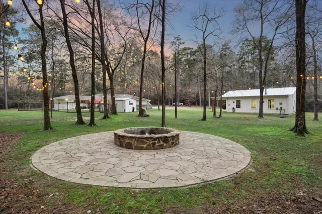 a view of a park with large trees