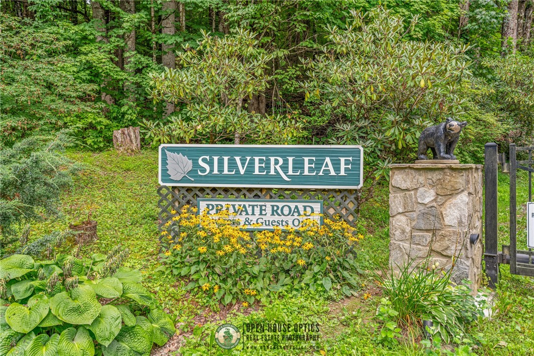Silverleaf Road Zionville, NC 28698 - Photo 4 of 25