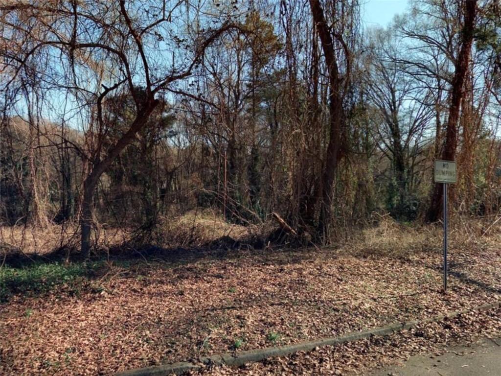 443 Proctor Avenue Scottdale, GA 30079 - Photo 2 of 2 a view of backyard with green space