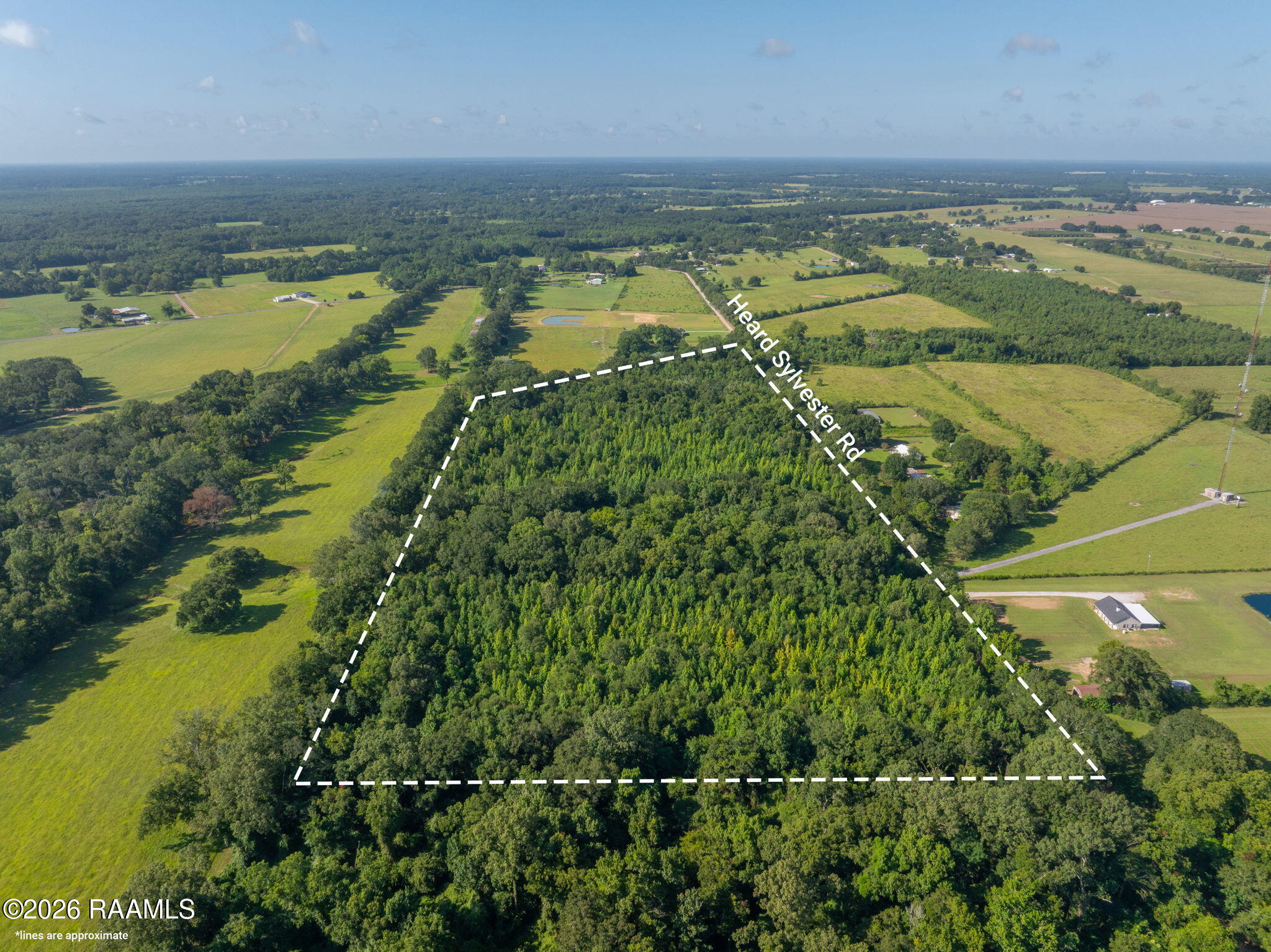 0 Heard Sylvester Road Washington, LA 70589 - Photo 6 of 12 5