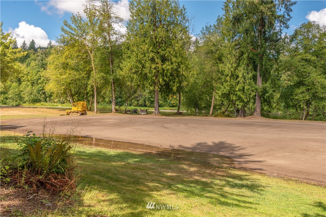 115 Island Road Toledo, WA 98591 - Photo 19 of 22 a view of road with large trees