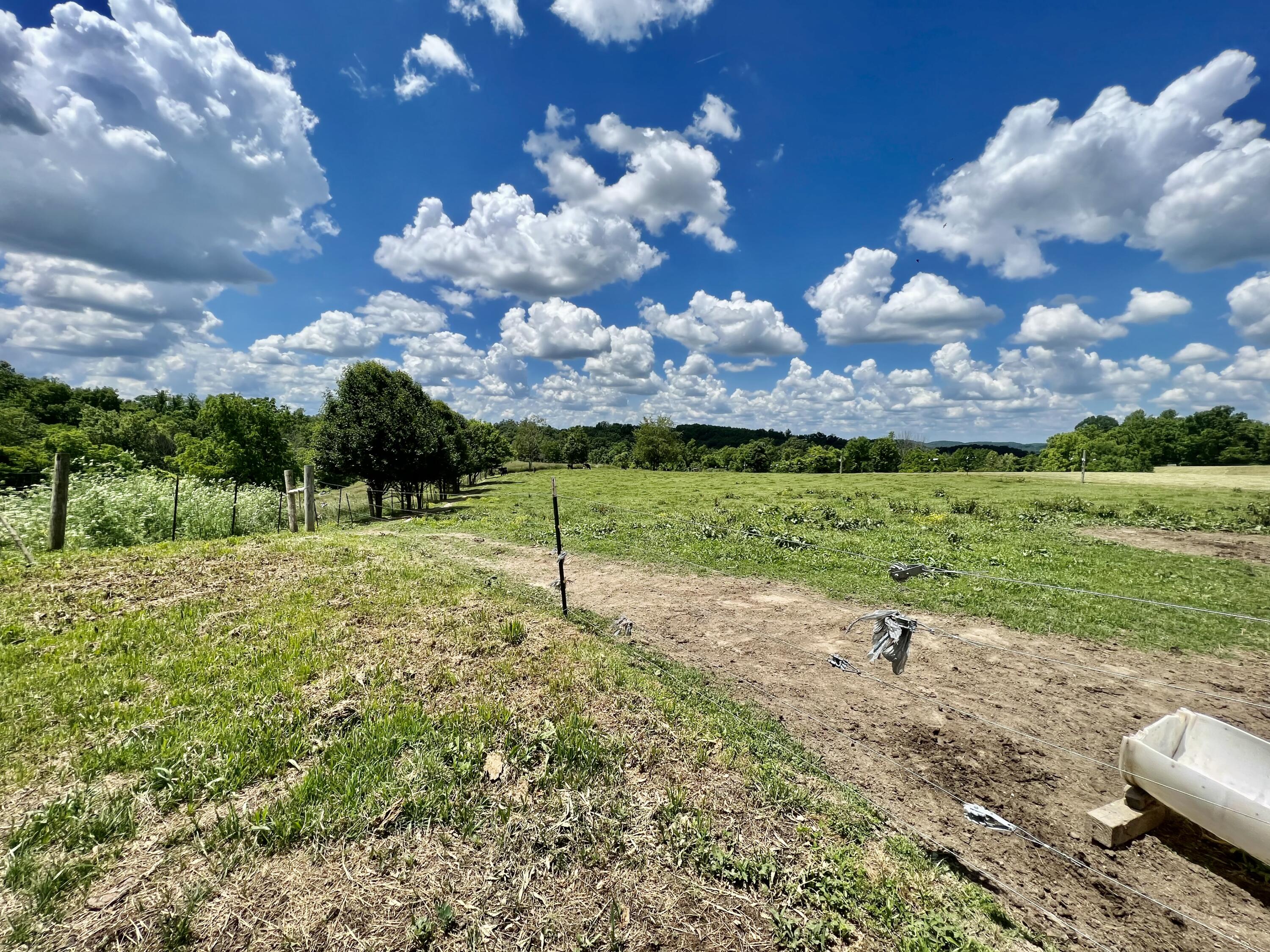 9999 Chestnut Grove Road Brodhead, KY 40409 - Photo 10 of 67 231ACDF6-0006-4012-8570-E484D4B0747A