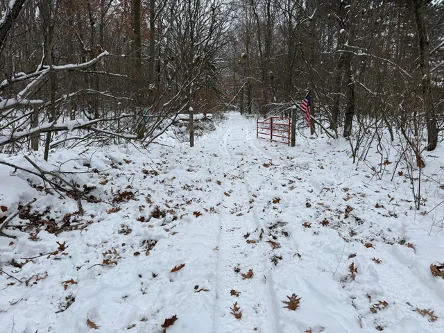 $344,000 | 9010 Lake Drive, Stanwood, MI 49346