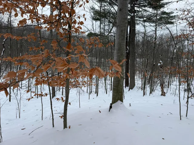 $344,000 | 9010 Lake Drive, Stanwood, MI 49346