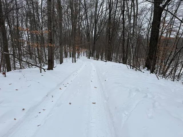 $344,000 | 9010 Lake Drive, Stanwood, MI 49346