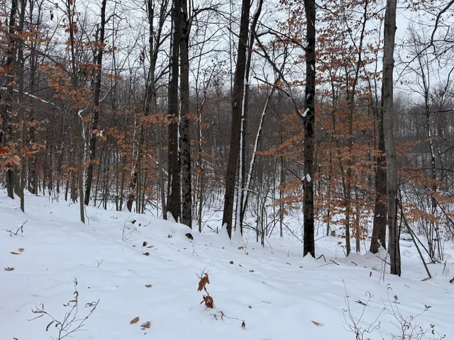 $344,000 | 9010 Lake Drive, Stanwood, MI 49346