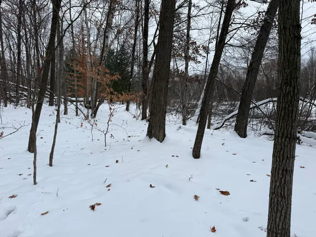 $344,000 | 9010 Lake Drive, Stanwood, MI 49346