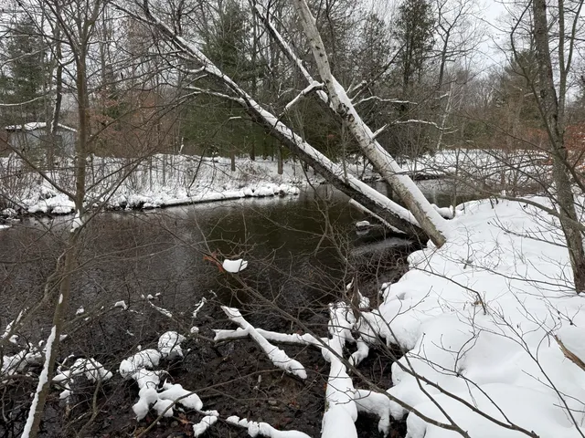 $344,000 | 9010 Lake Drive, Stanwood, MI 49346