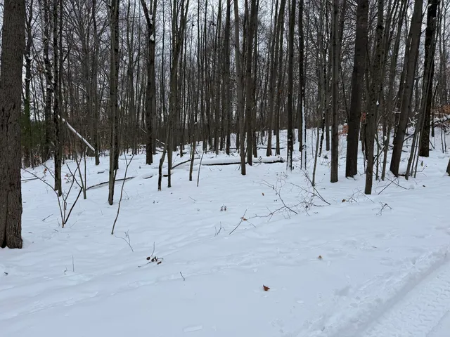 $344,000 | 9010 Lake Drive, Stanwood, MI 49346