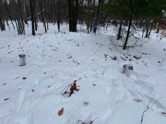 $344,000 | 9010 Lake Drive, Stanwood, MI 49346