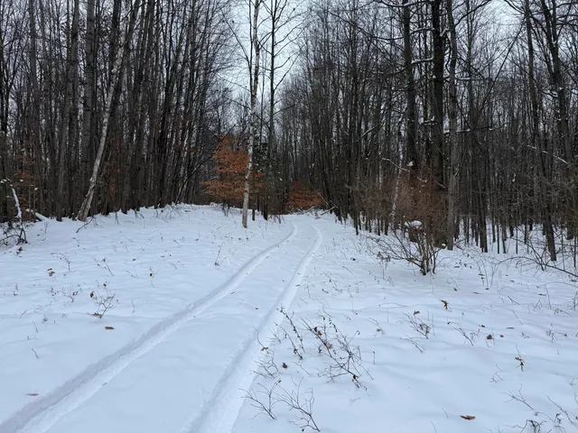 $344,000 | 9010 Lake Drive, Stanwood, MI 49346