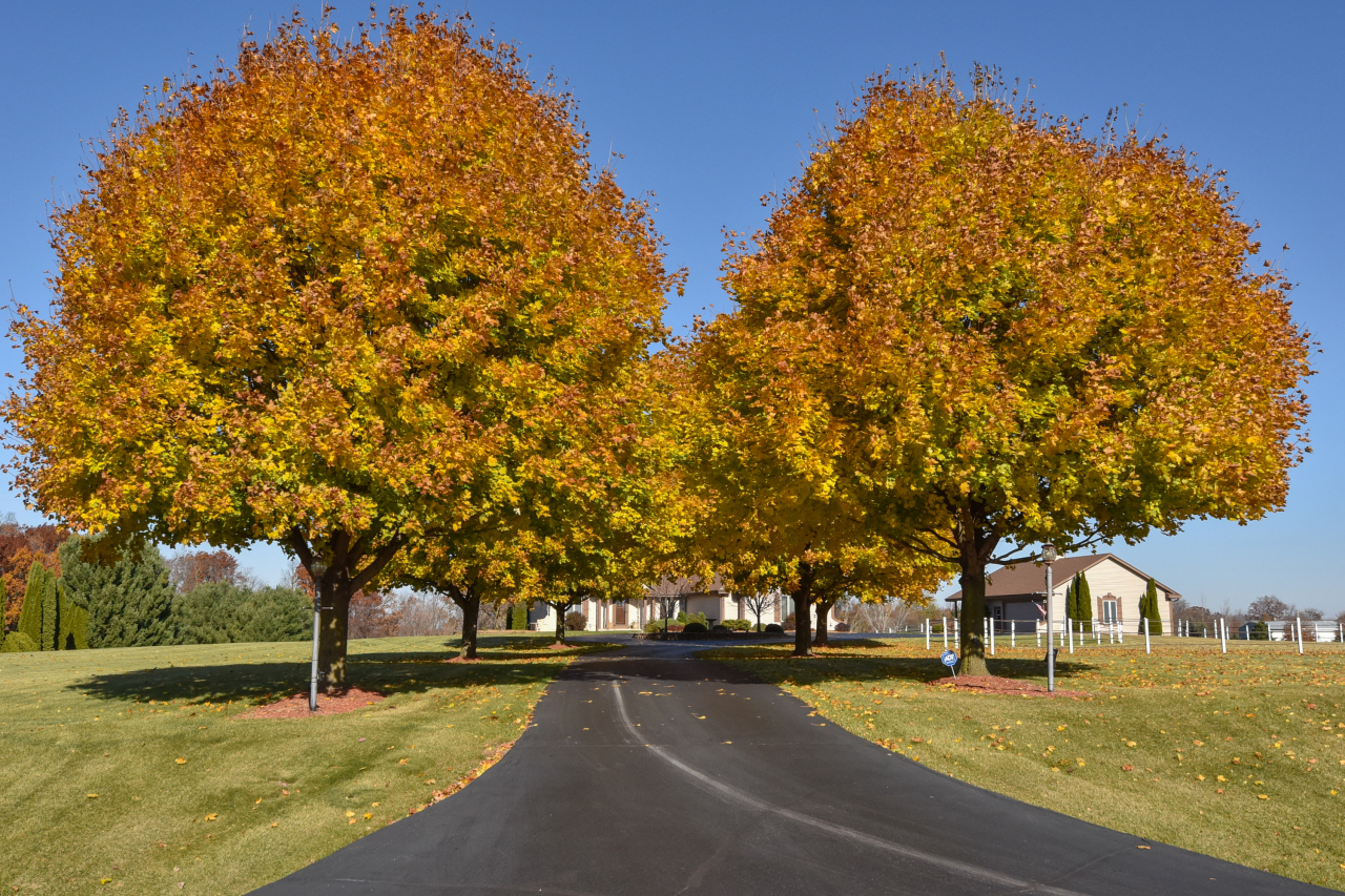 4942 Bridle Path Road Polk, WI 53076 - Photo 16 of 62 Driveway Approaching Home