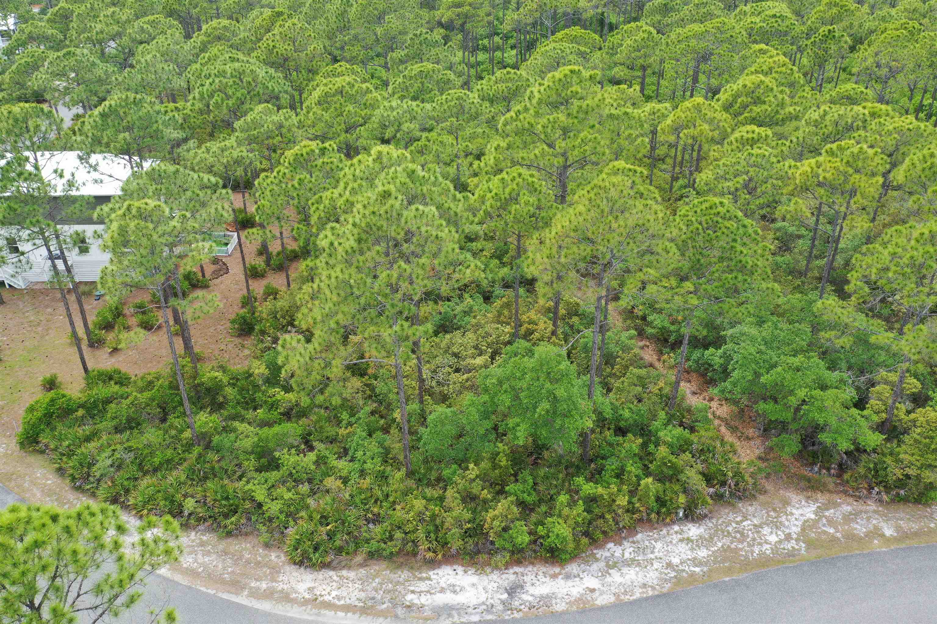 133 Fishhook Way Sopchoppy, FL 32358 - Photo 26 of 28