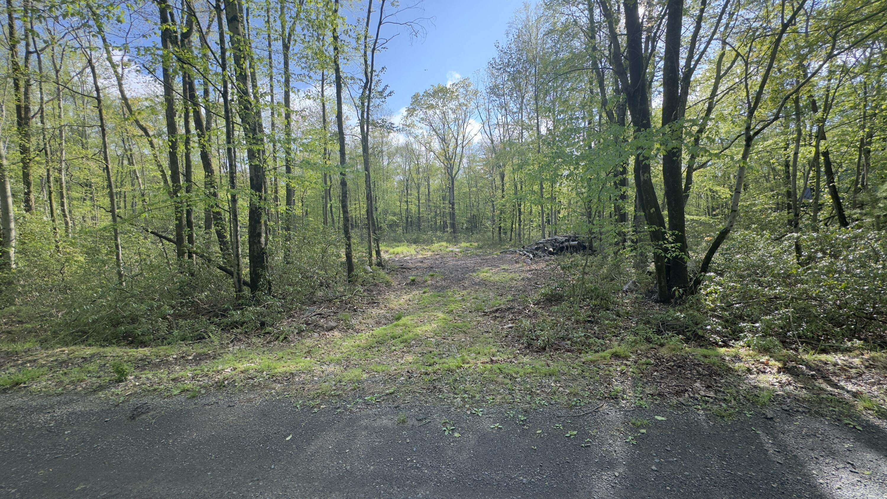 Butternut Road Jim Thorpe, PA 18229 - Photo 5 of 7 Photo May 15 2025, 5 47 00 PM