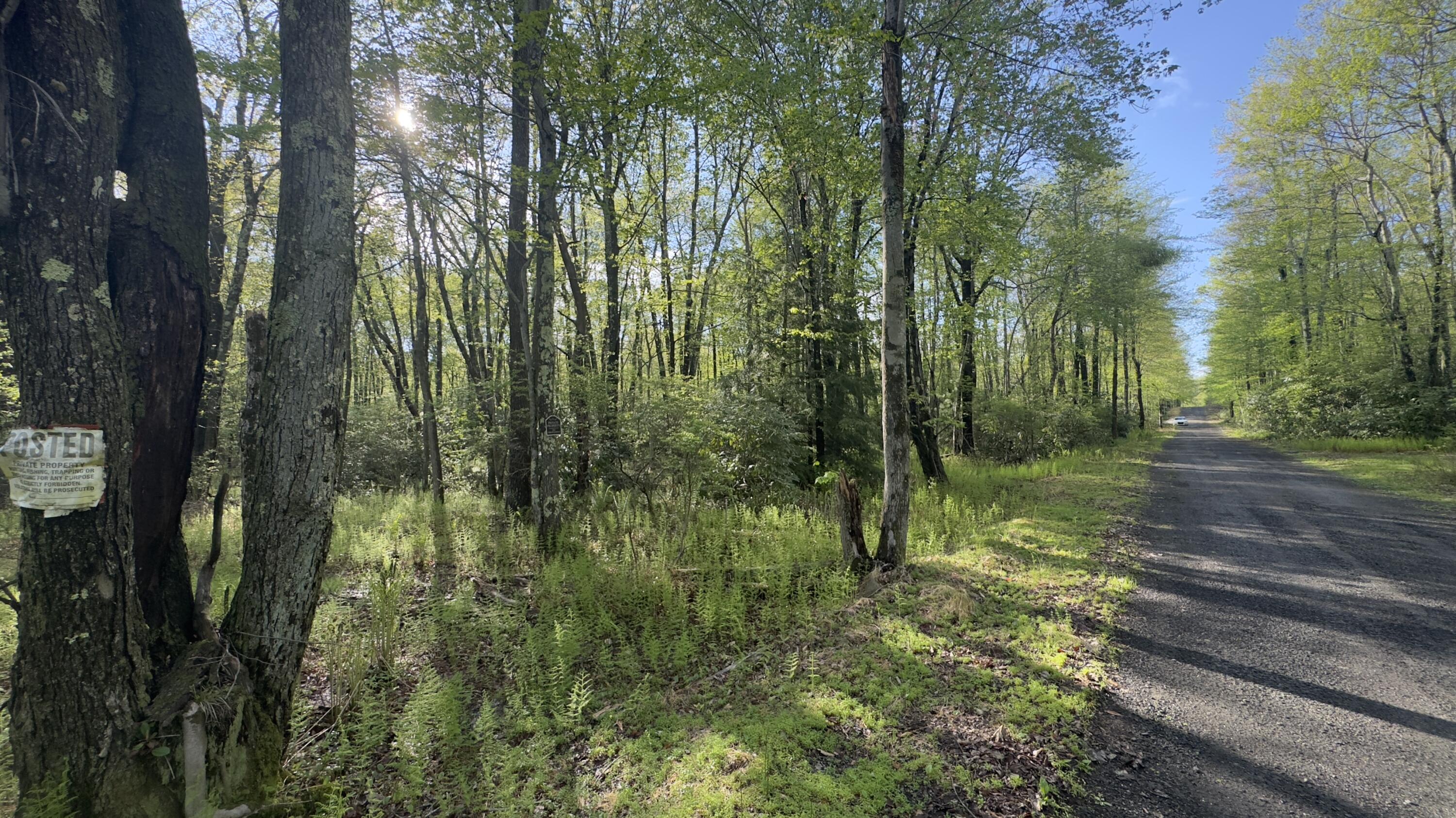 Butternut Road Jim Thorpe, PA 18229 - Photo 6 of 7 Photo May 15 2025, 5 52 20 PM