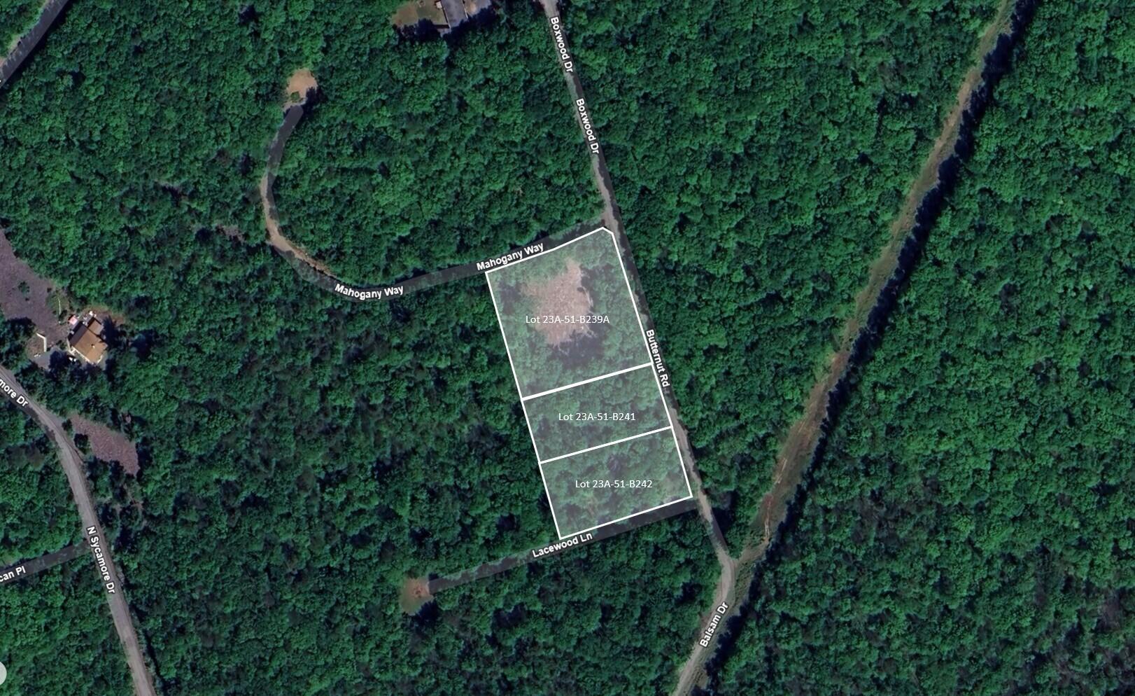Butternut Road Jim Thorpe, PA 18229 - Photo 7 of 7 Aerial 1