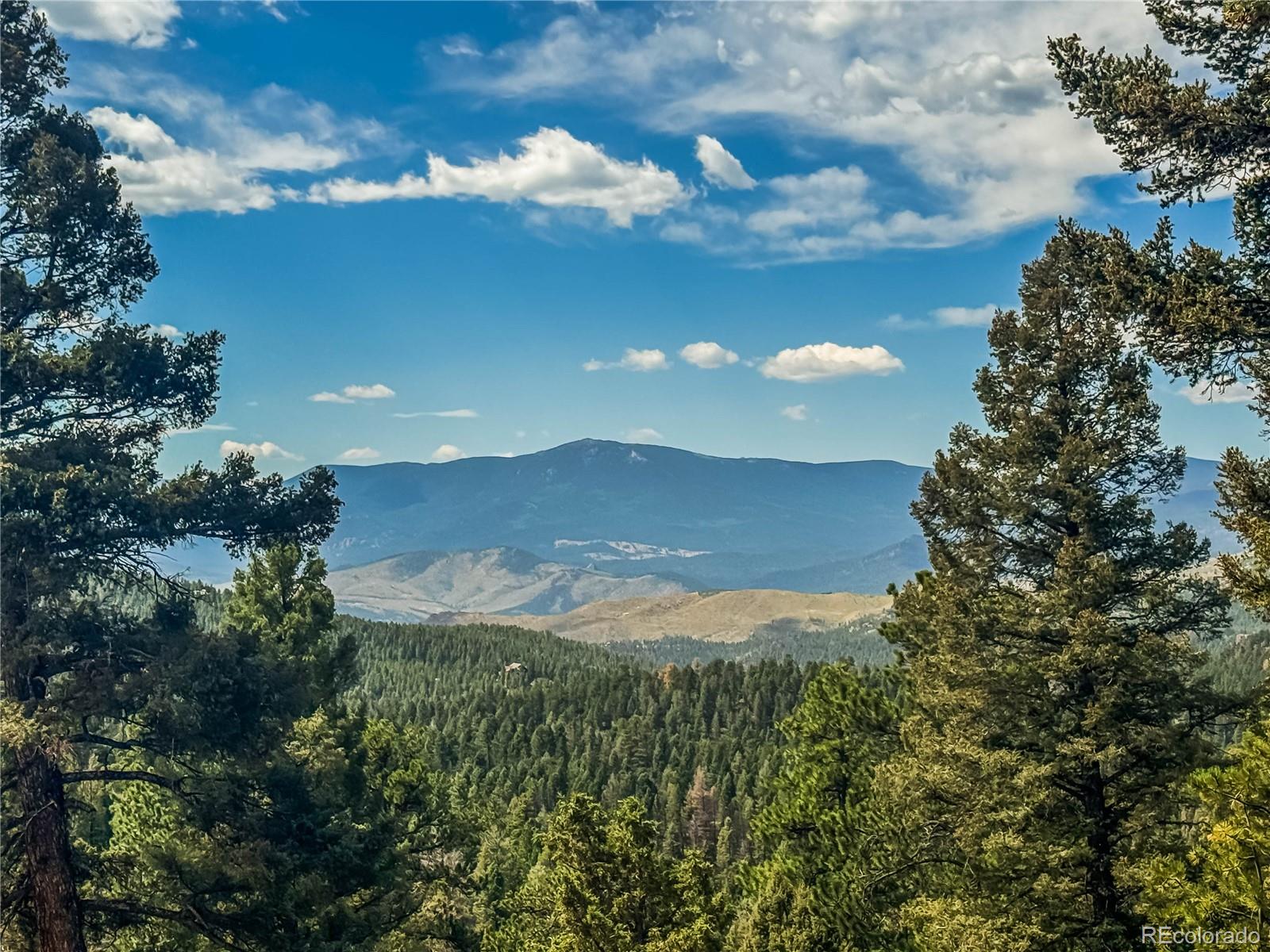 12853 South Wamblee Valley Road Conifer, CO 80433 - Photo 3 of 46 Gallery Image 3