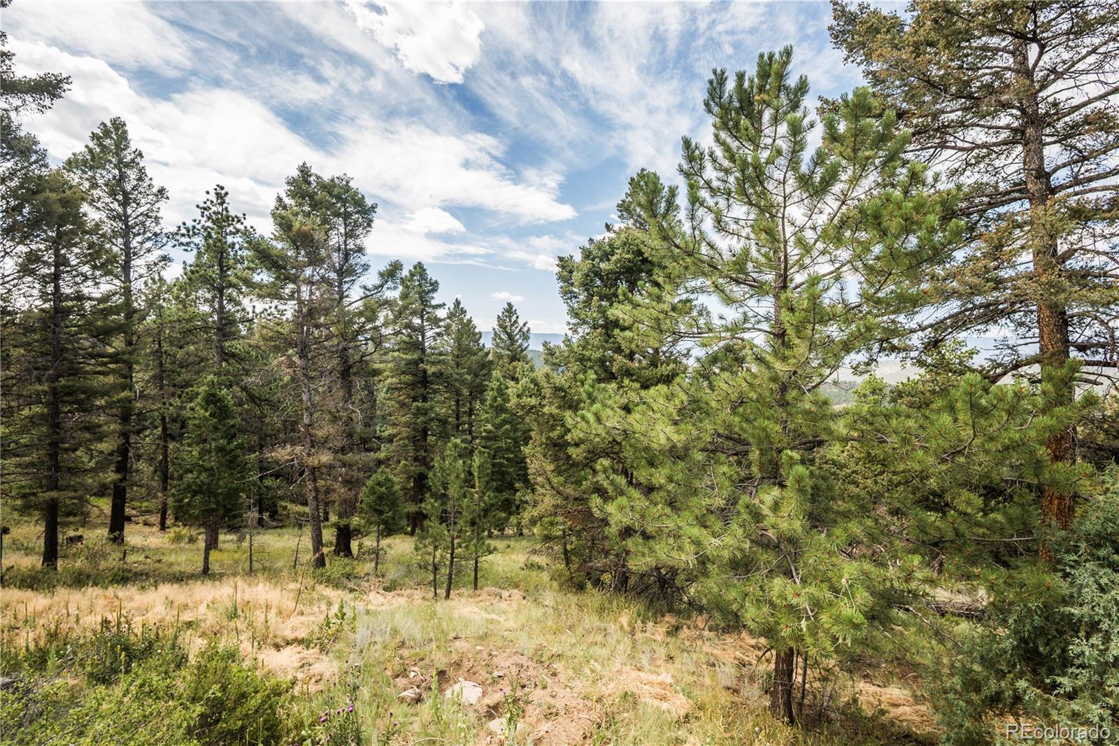 12853 South Wamblee Valley Road Conifer, CO 80433 - Photo 41 of 46 Gallery Image 41