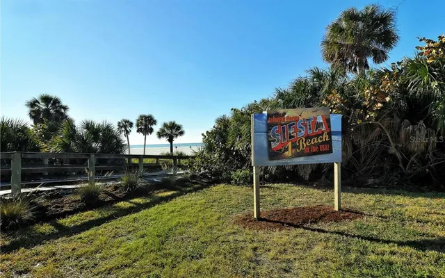 a view of outdoor space with palm trees