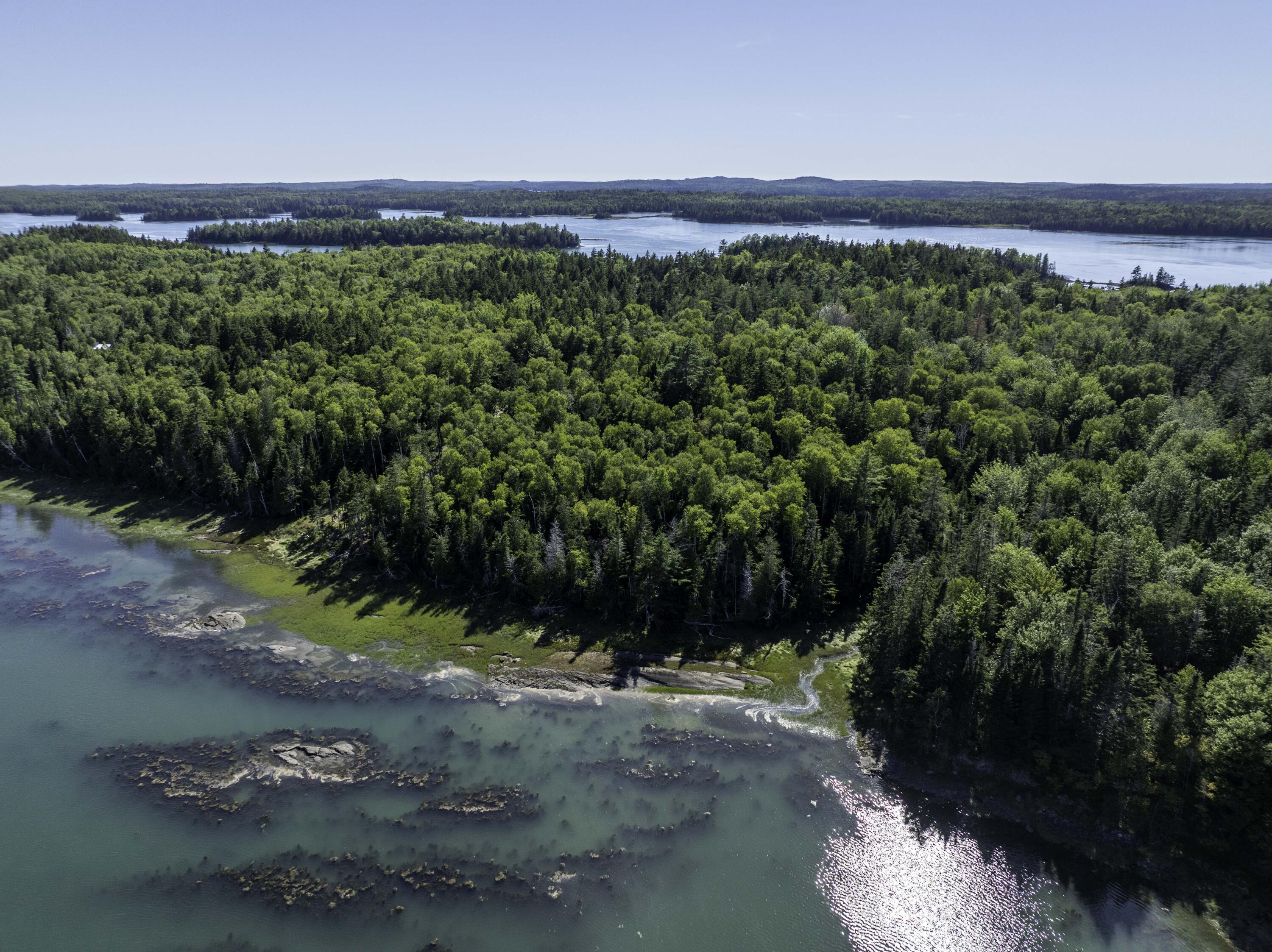 Lot 48 Coffins Neck Road Lubec, ME 04652 - Photo 2 of 7 Lot 48