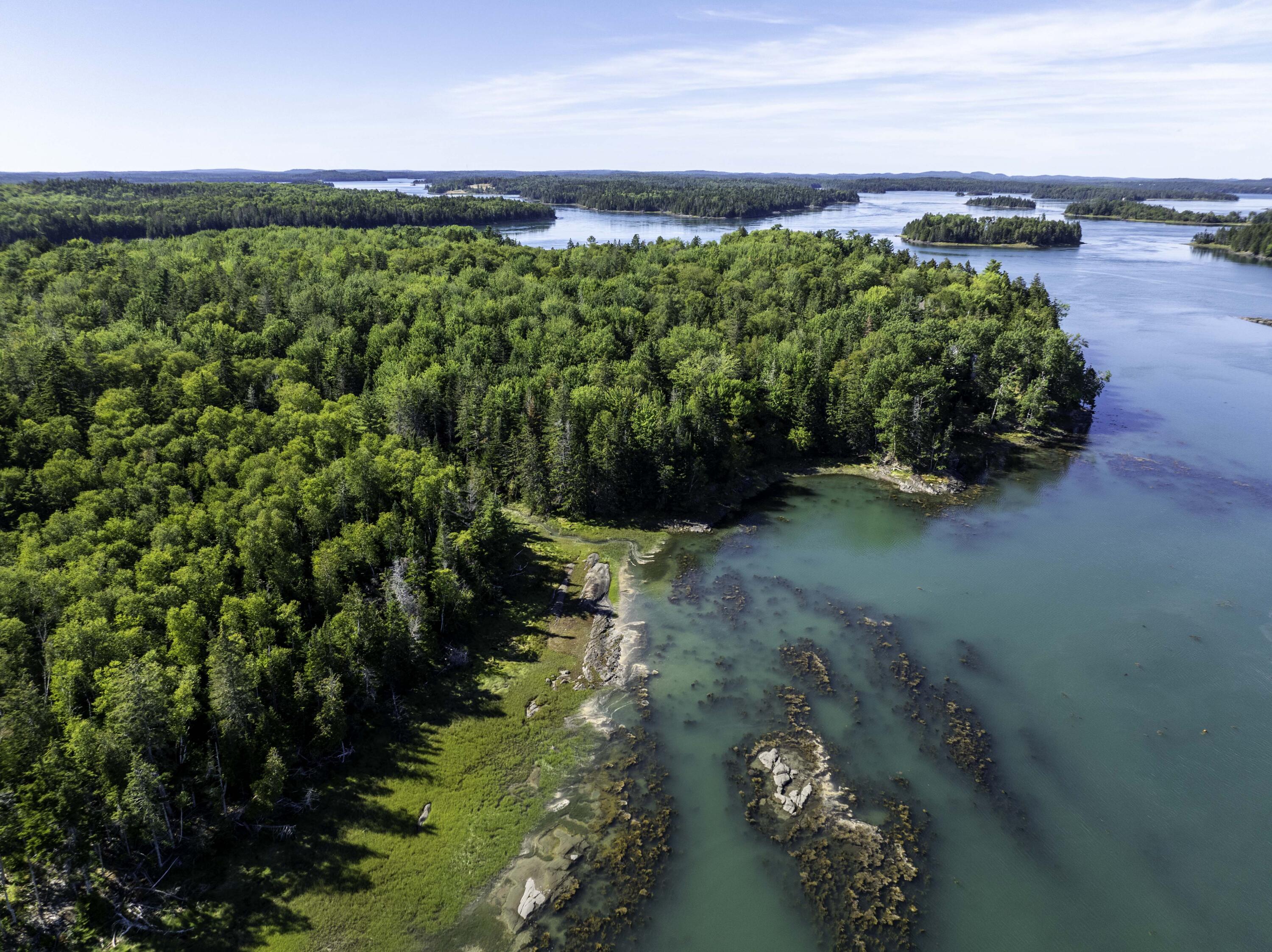 Lot 48 Coffins Neck Road Lubec, ME 04652 - Photo 3 of 7 Lot 48