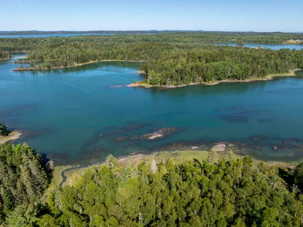 $85,000 | Lot 48 Coffins Neck Road, Lubec, ME 04652