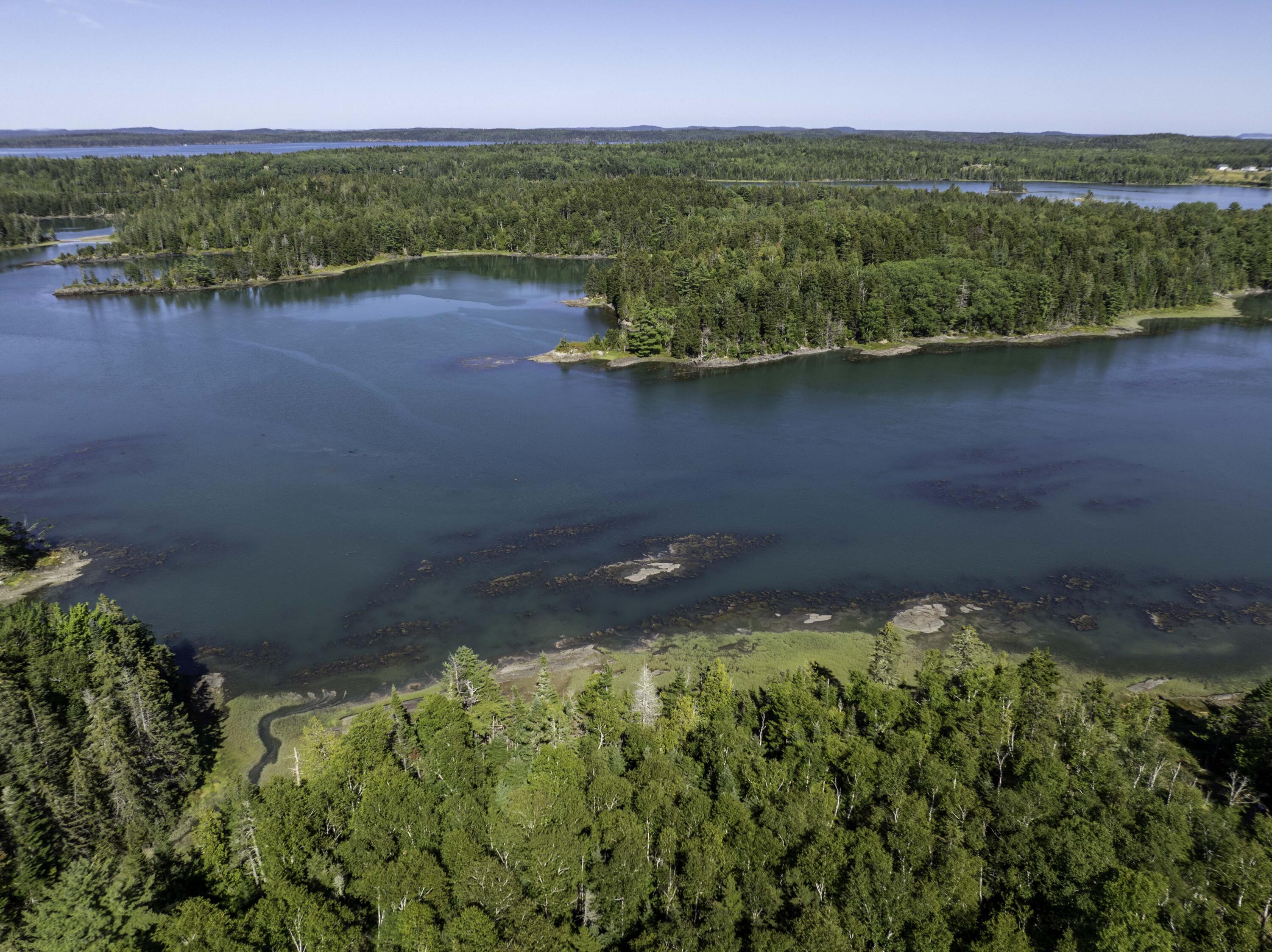 Lot 48 Coffins Neck Road Lubec, ME 04652 - Photo 4 of 7 Lot 48